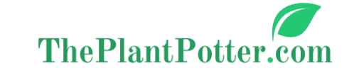 ThePlantPotter.com 